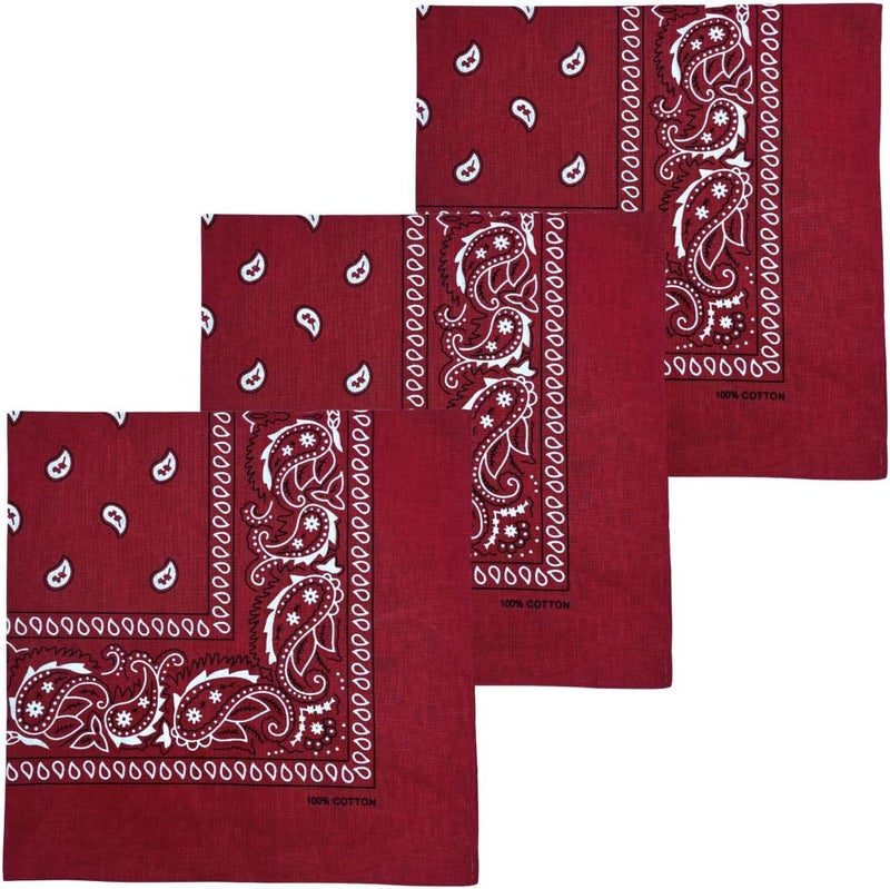 MD Style 3 PCS 100% Cotton Bandana for Men & Women 22" x 22" Paisely Pattern Handkerchief Headband Scarf - Image 1